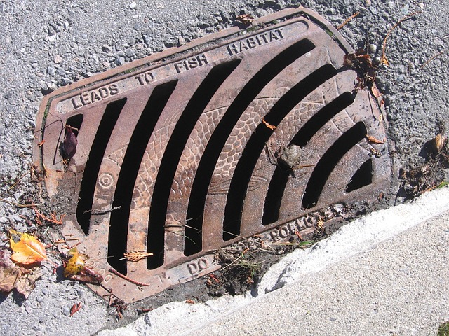 Drain Cleaning