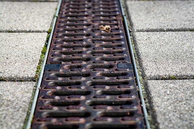 Drain Cleaning