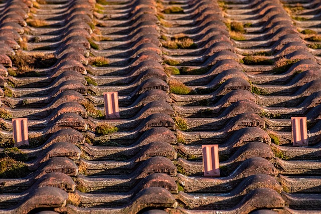 durable roofing materials
