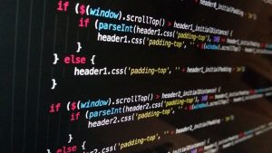 Local E-commerce Experts: Unlocking Business Growth through Customized Solutions