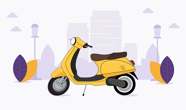 electric scooters for adults