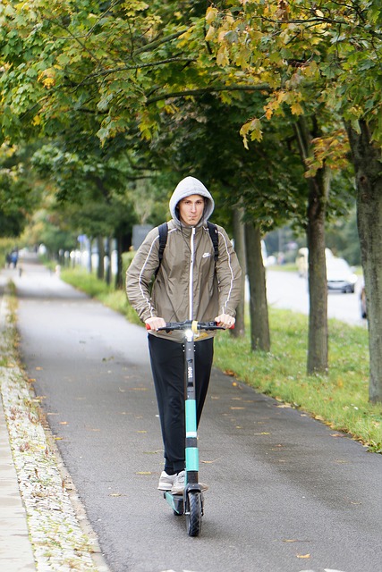 electric scooters for adults