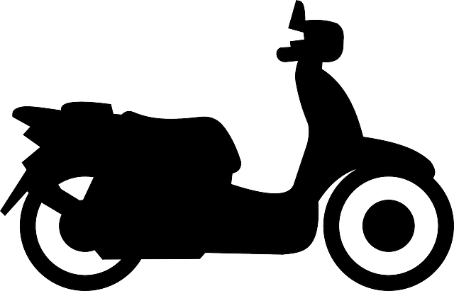 electric scooters for adults