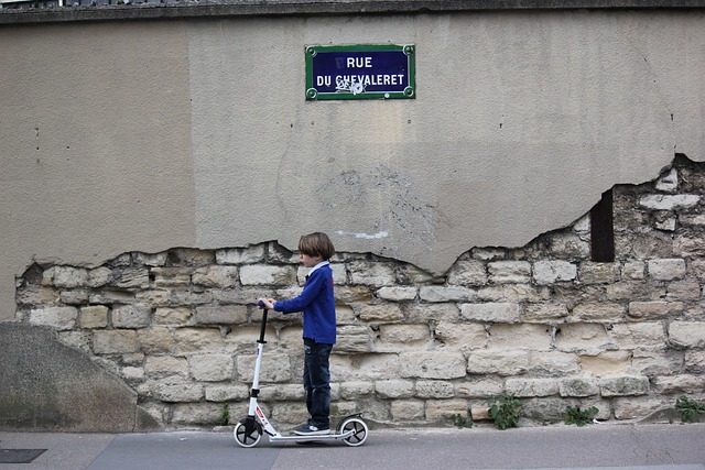 electric scooters for adults