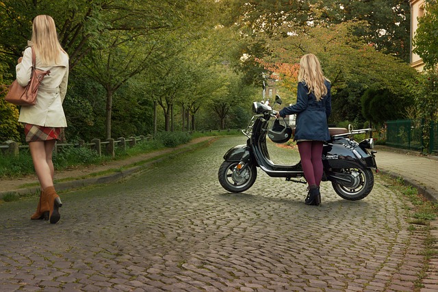 electric scooters for adults