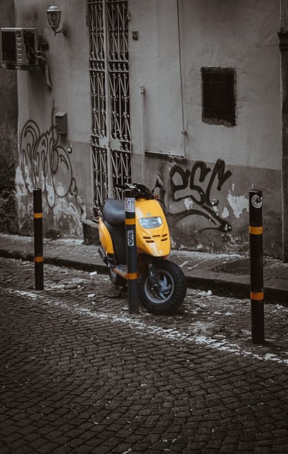 electric scooters for adults