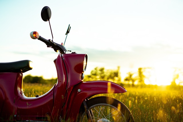 electric scooters for adults