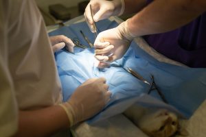Expert Botox Injections: Your Guide to Safe, Effective Facial Rejuvenation