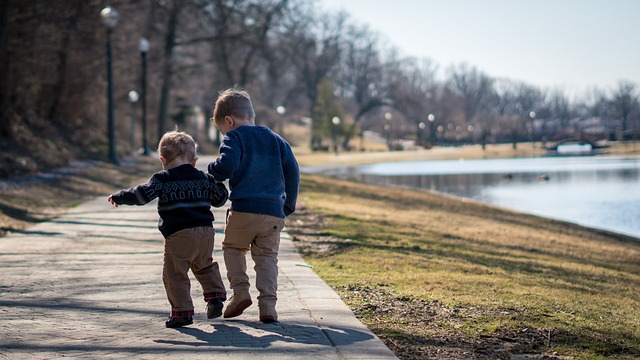family health insurance