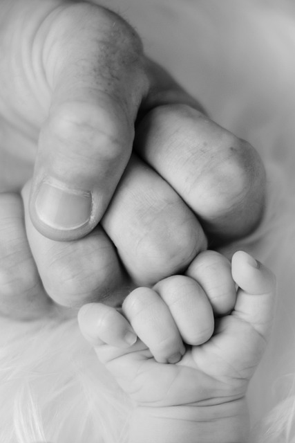 family health insurance
