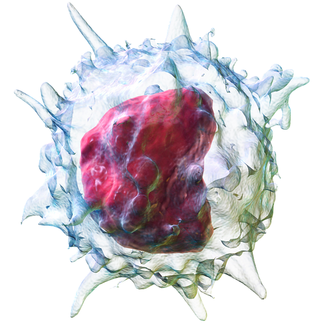 Fat Cell Freezing