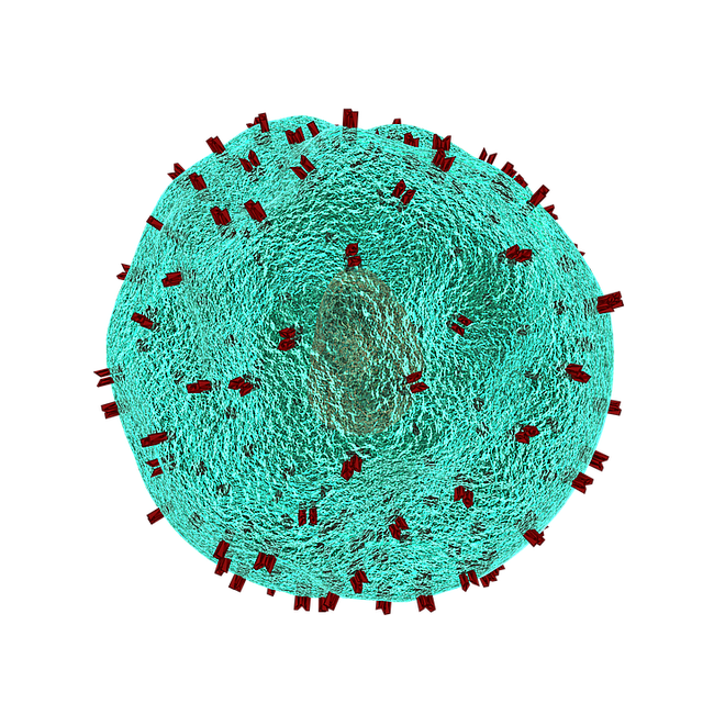 Fat Cell Freezing