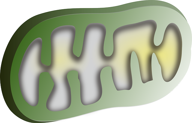 Fat Cell Freezing