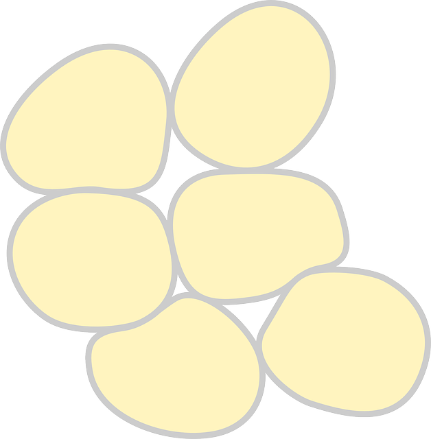 Fat Reduction Solutions
