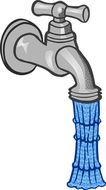 Faucet Repair