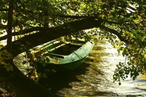 Maximize Speed: Optimizing Your Fishing Kayak Experience
