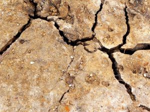 Mastering Pier and Beam Crack Repair: A Comprehensive Guide to Fixing Foundation Frailties