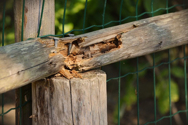 Foundation Repair with Warranty