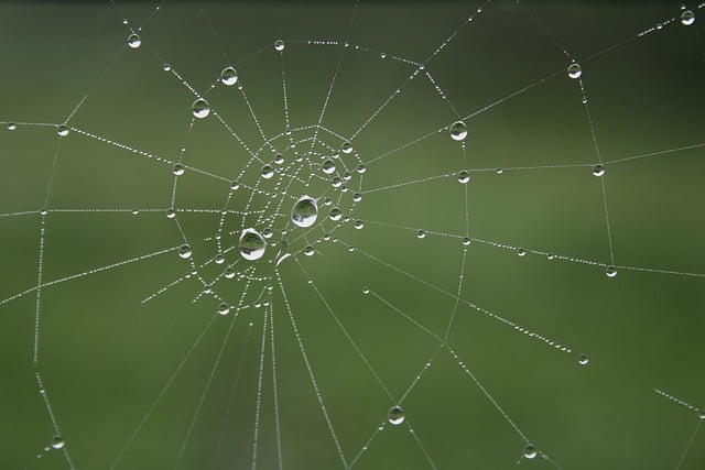 full-service web design