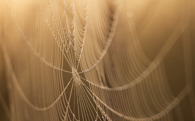 full-service web design