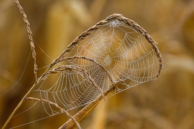 full-service web design