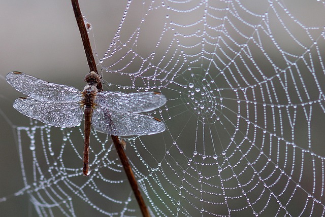 full-service web design