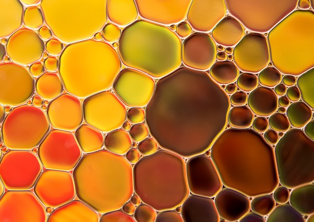 Full Spectrum Hemp Oil