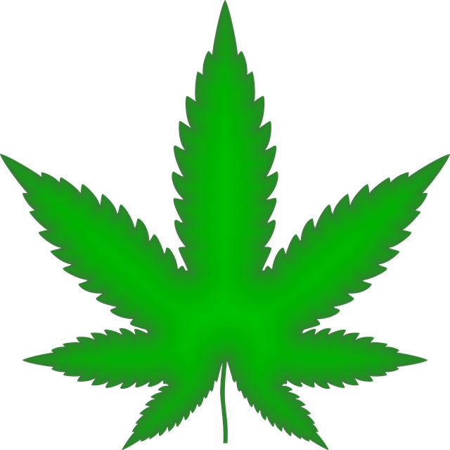 Full Spectrum Hemp Oil