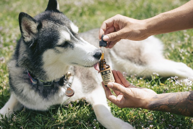 Heavy Metals Testing for CBD