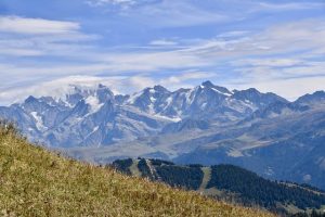 Unlocking Medical Potential: Navigating High Potency Cannabinoid Science and Applications