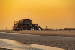 House Sitting: Benefits and Tips for Finding Reliable Sitters