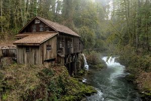 Find Reliable House Sitters for Peace of Mind While You’re Away