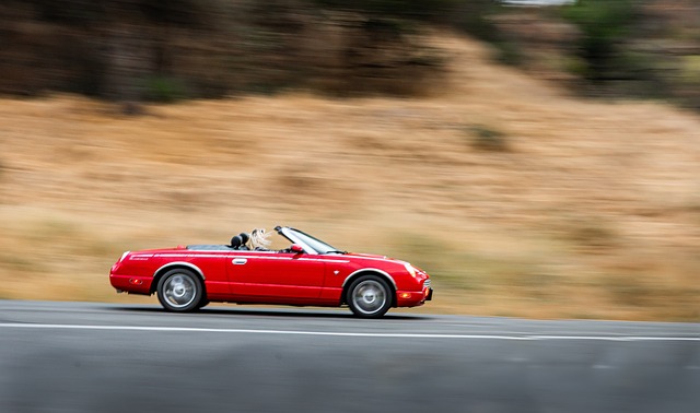 How to Choose the Best Car Insurance Policy