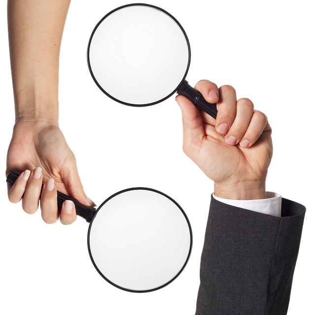 Improve Organic Search Rankings