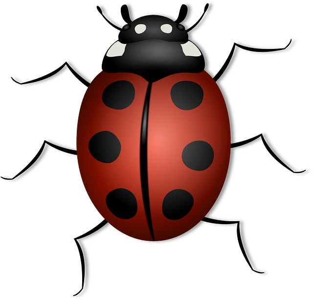 insect control services