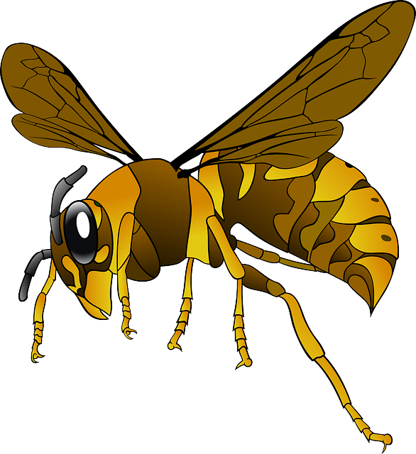 insect control services