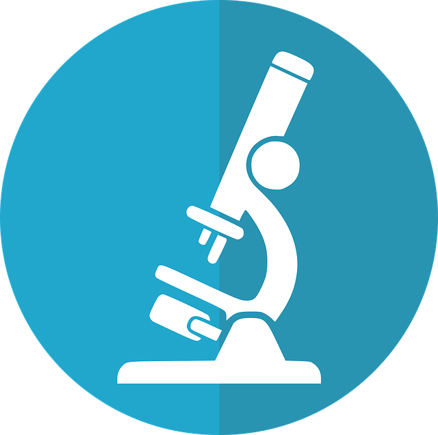 Keyword Research and Optimization