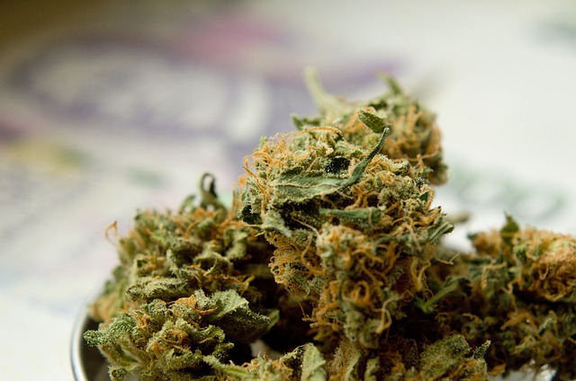 KO Blend THC Disposable