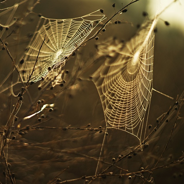 latest web design trends