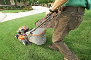 Lawn Care and Landscaping: Nurturing Your Garden Paradise