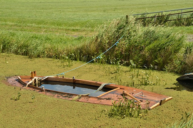 Leak Detection