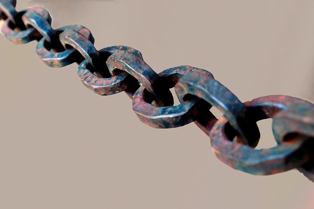 Link Building