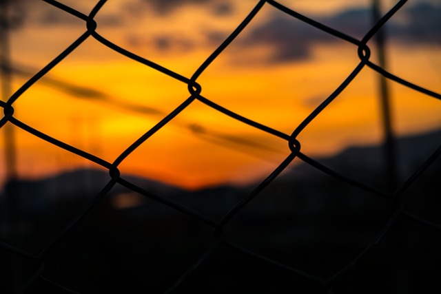 Link Building