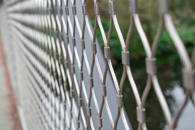 Link Building