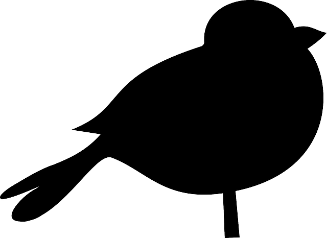 Male Fat Reduction