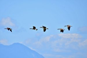 Marketing Leadership Summit: Unlocking Local Business Success Strategies