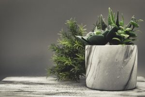 Unveiling the Secrets of Successful Medical Spa Treatments
