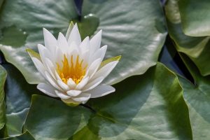 Unveiling Advanced Medical Spa Treatments: A Comprehensive Journey