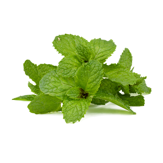 Mint Flavored CBD Tincture