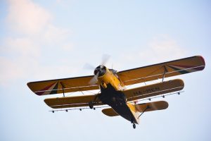 Mastering Mosquito & Tick Control: Comprehensive Yard Pest Prevention